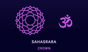 頂輪（Sahasrara）的對應圖像